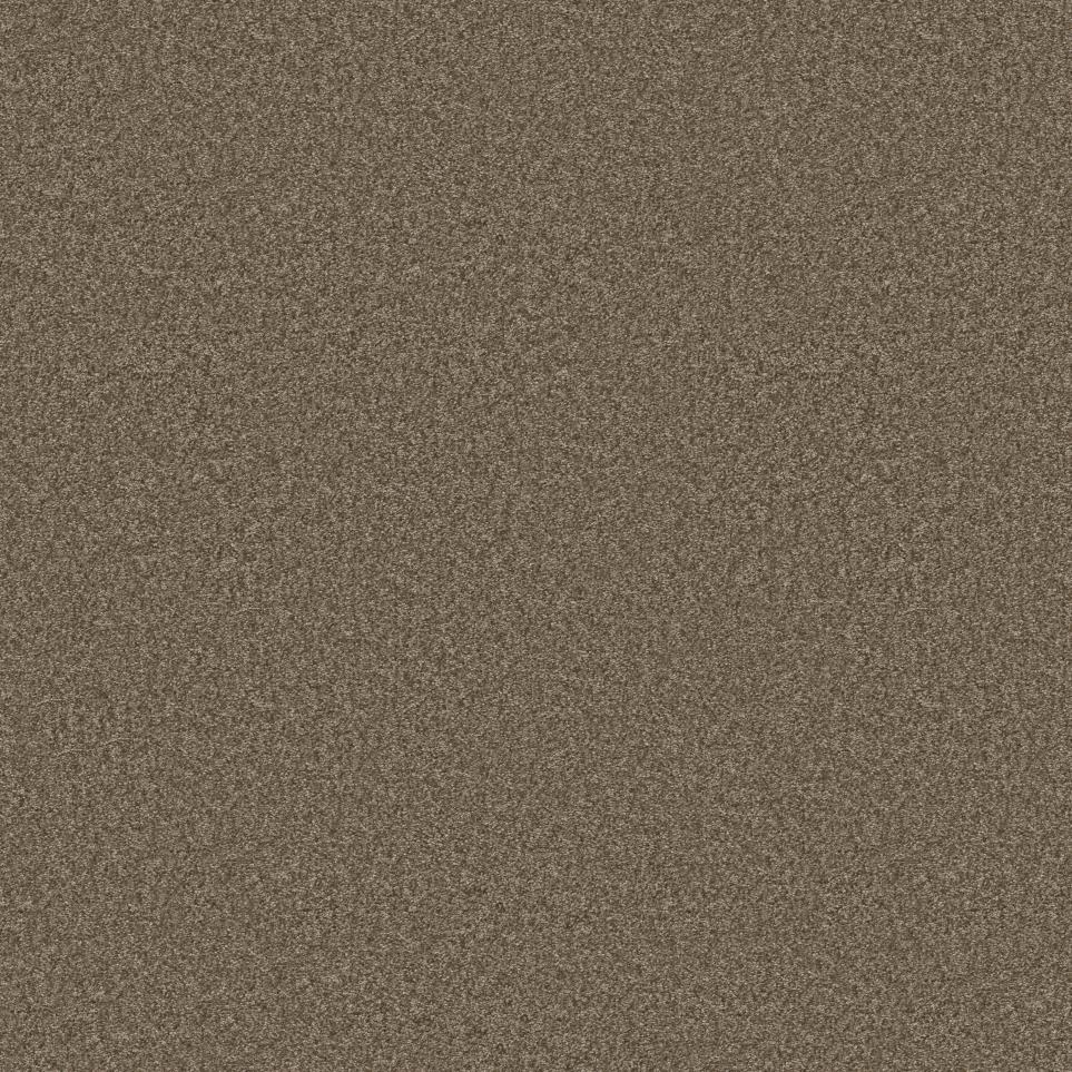Casual Texture Pecan Beige/Tan Carpet