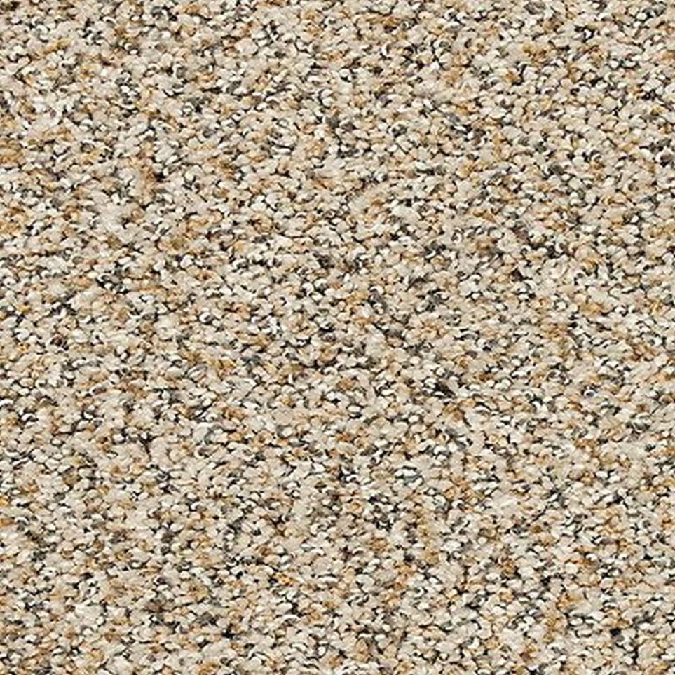 Textured Saxony Sonora Beige/Tan Carpet