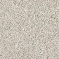 Textured Saxony Cotton Tail Beige/Tan Carpet
