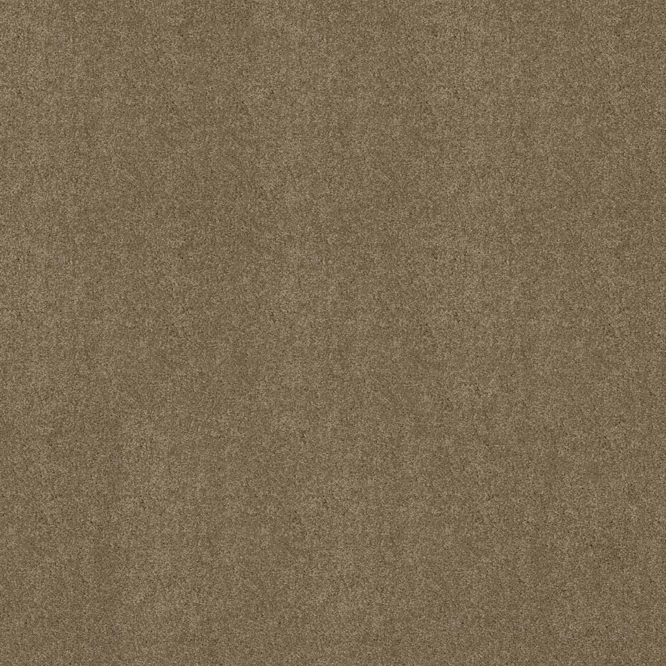 Texture Buckskin Brown Carpet