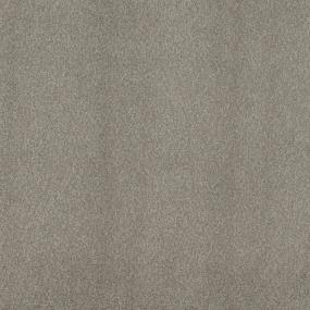 Casual Texture Vineyard Beige/Tan Carpet