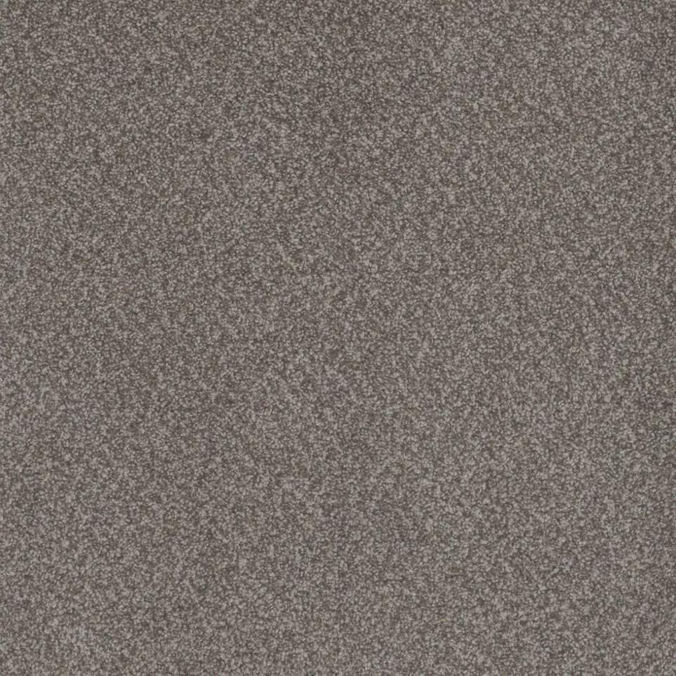 Cut Pile Masterpiece Brown Carpet