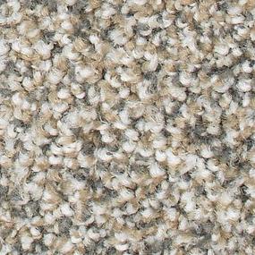 Textured Saxony Cedar Chest Brown Carpet