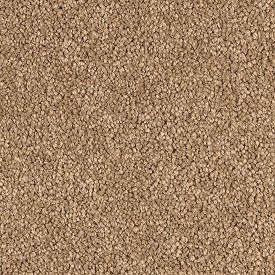 Textured Saxony Earthtone Beige/Tan Carpet