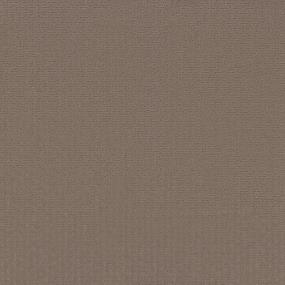 Pattern Desert Accents Brown Carpet