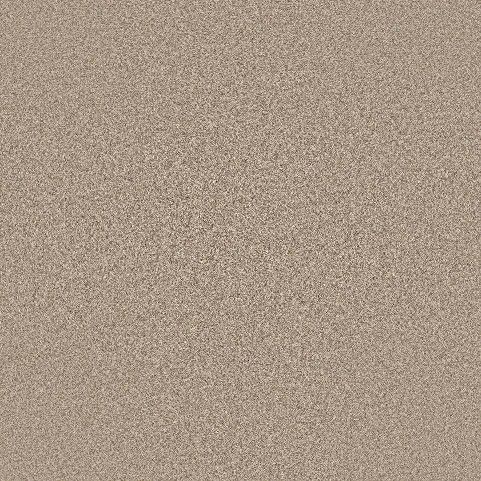 Textured Saxony Rye Beige/Tan Carpet