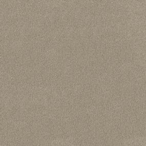 Plush Saxony Rock Garden Beige/Tan Carpet