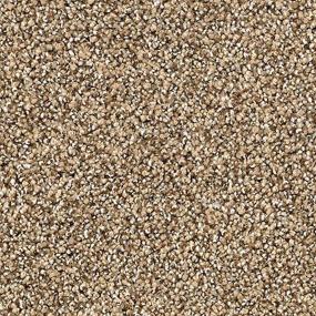 Textured Saxony Homespun Brown Carpet