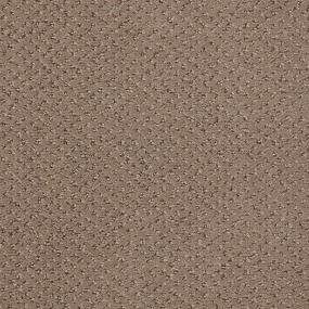 Pattern Halo Gray Carpet