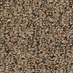 Pattern Rustic Copper Beige/Tan Carpet