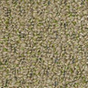Pattern Wheat Grass Beige/Tan Carpet