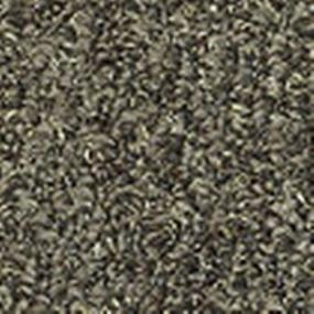 Pattern Burnt Bark Brown Carpet