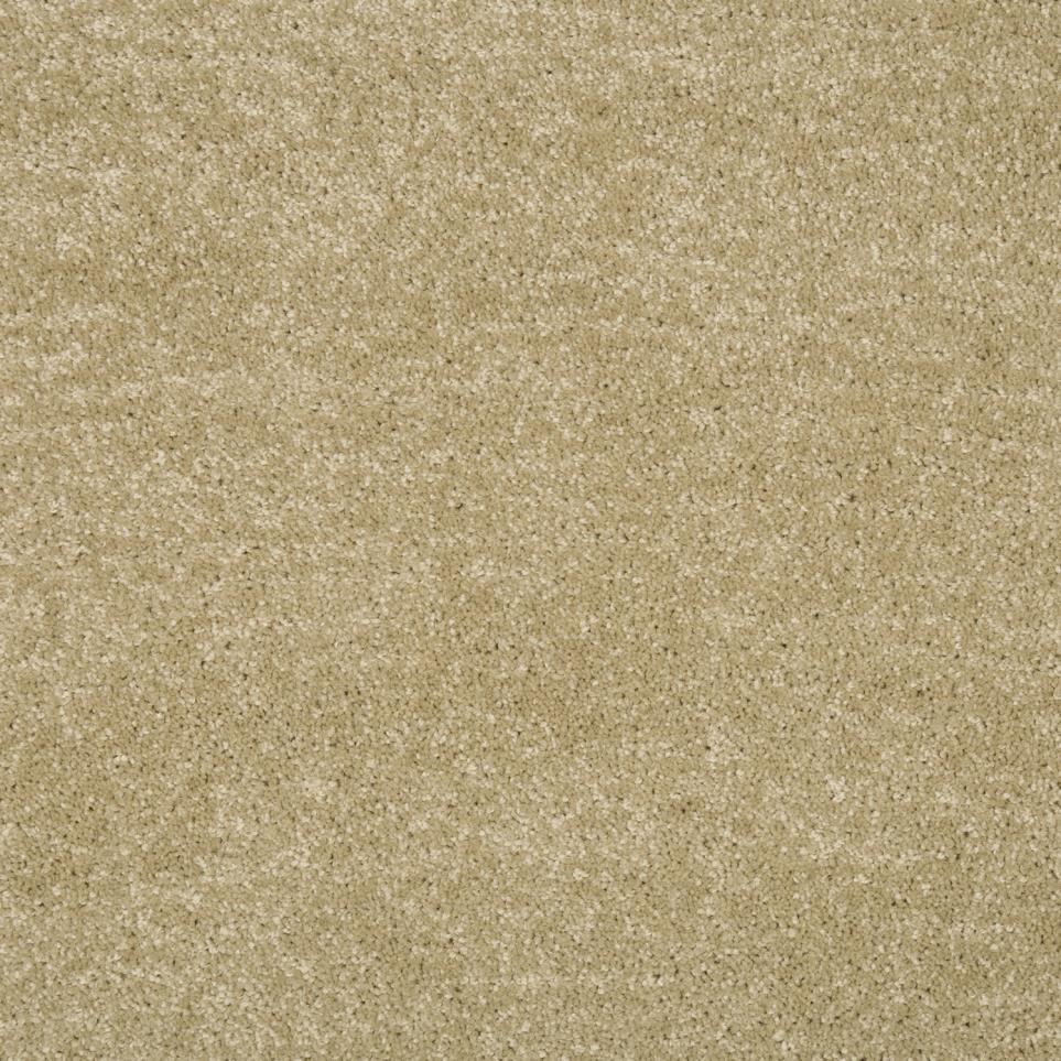Texture Honeycomb Beige/Tan Carpet