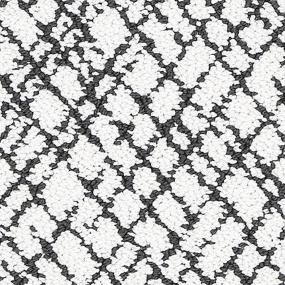 Loop Carbon Black Black Carpet