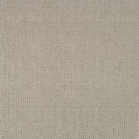Pattern Focus Beige/Tan Carpet