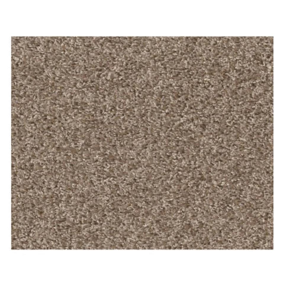 Casual Texture Saddle Brown Carpet