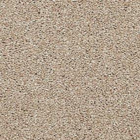 Textured Saxony Amusing Beige/Tan Carpet