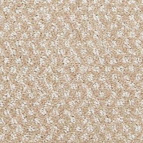 Pattern Honorable Beige/Tan Carpet