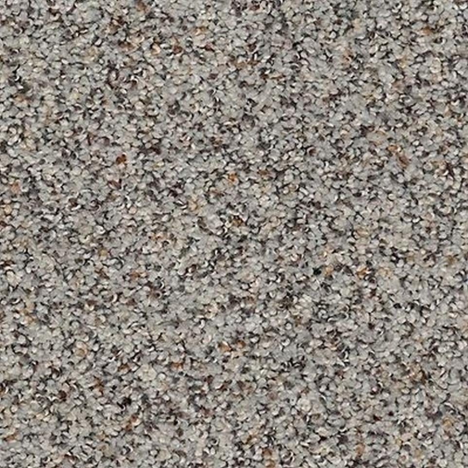 Textured Saxony Ancient Marble Gray Carpet