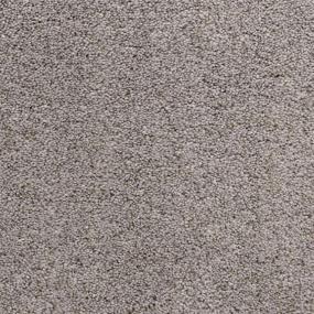 Textured Saxony Seal Grey Brown Carpet