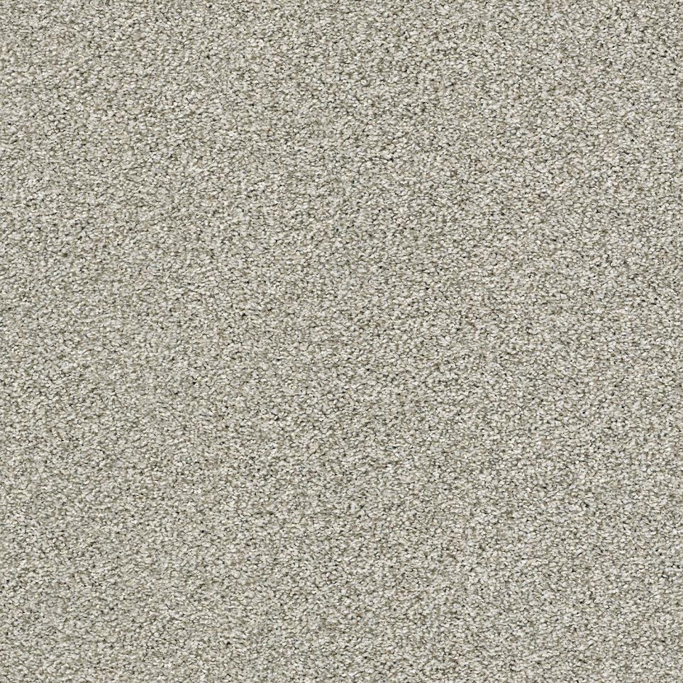 Texture Twine Gray Carpet