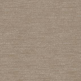 Pattern Truffle Brown Carpet
