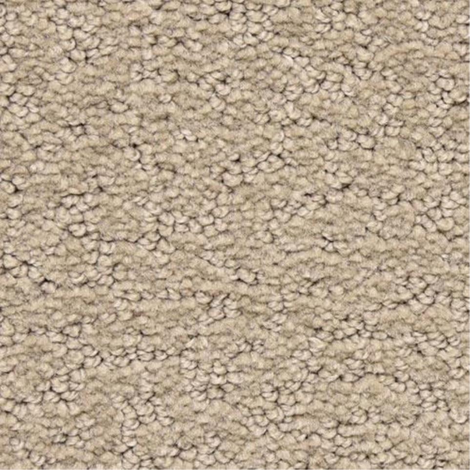 Pattern Kudos Beige/Tan Carpet