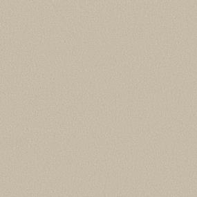 Texture Parchment Beige/Tan Carpet