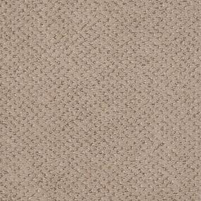 Pattern Corn Husk Gray Carpet