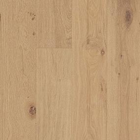 Isle Oak