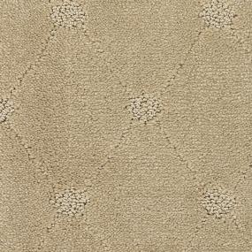 Pattern Sociable Beige/Tan Carpet
