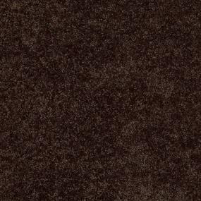 Textured Saxony Espresso Brown Carpet