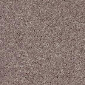 Textured Saxony Black Diamond Beige/Tan Carpet