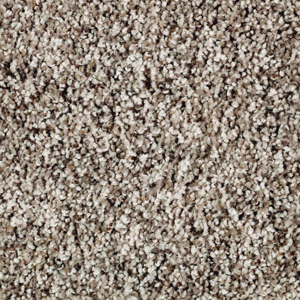 Texture Tundra Beige/Tan Carpet
