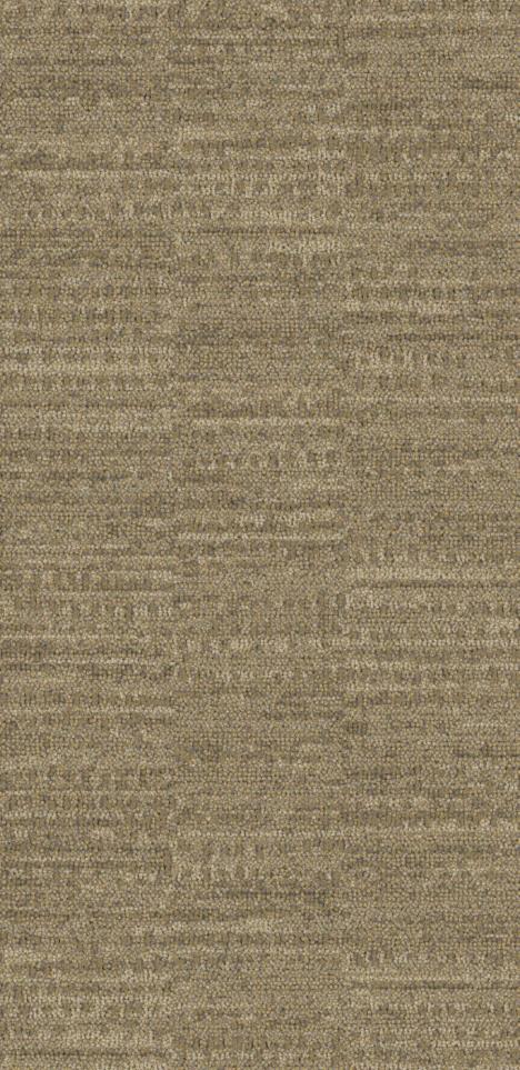 Pattern Adventure Brown Carpet