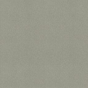 Textured Saxony Paradise Valley Gray Carpet