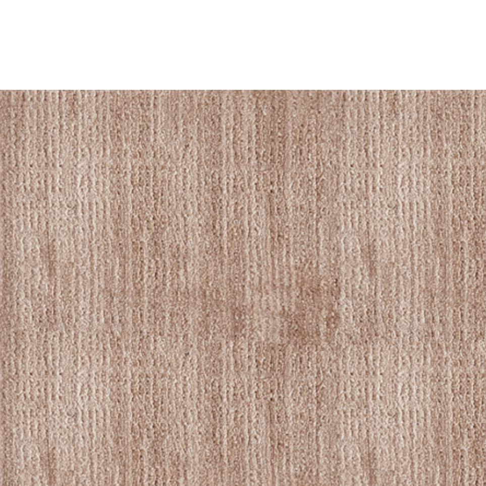 Loop Tan Brown Carpet