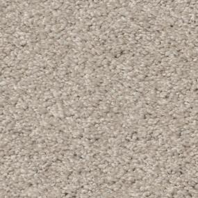 Casual Texture April Shower Beige/Tan Carpet