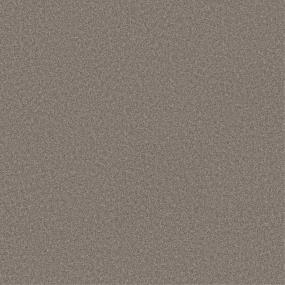 Texture Nut Shell Gray Carpet