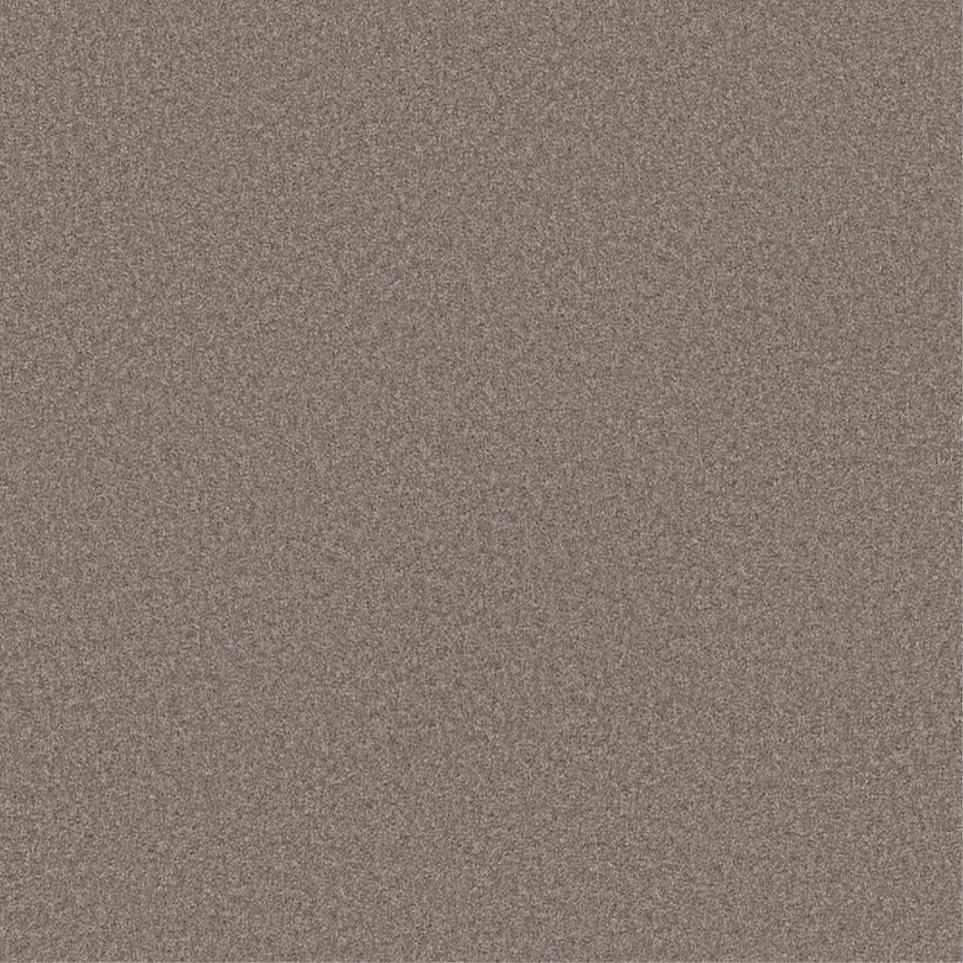 Texture Nut Shell Gray Carpet