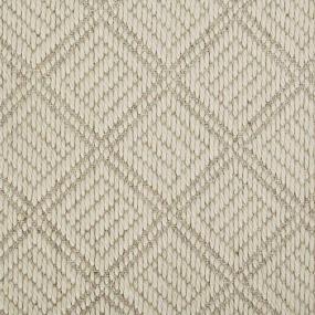 Woven Ivory Natural Beige/Tan Carpet