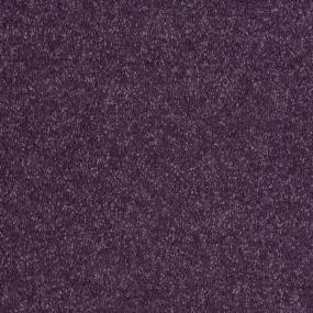 Textured Saxony Amethyst Purple Carpet
