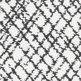 Loop Carbon Black Black Carpet