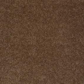 Textured Saxony Mammoth Brown Carpet