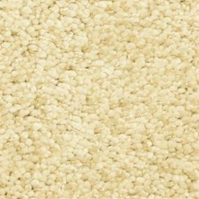 Casual Texture Contented Beige/Tan Carpet