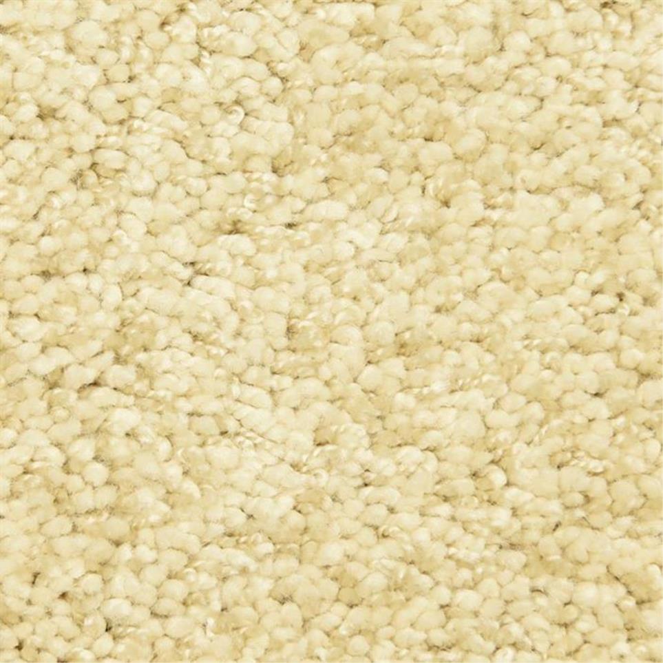 Casual Texture Contented Beige/Tan Carpet