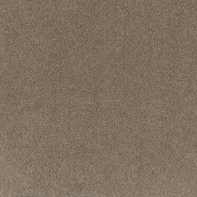 Textured Saxony Affirmation Brown Carpet