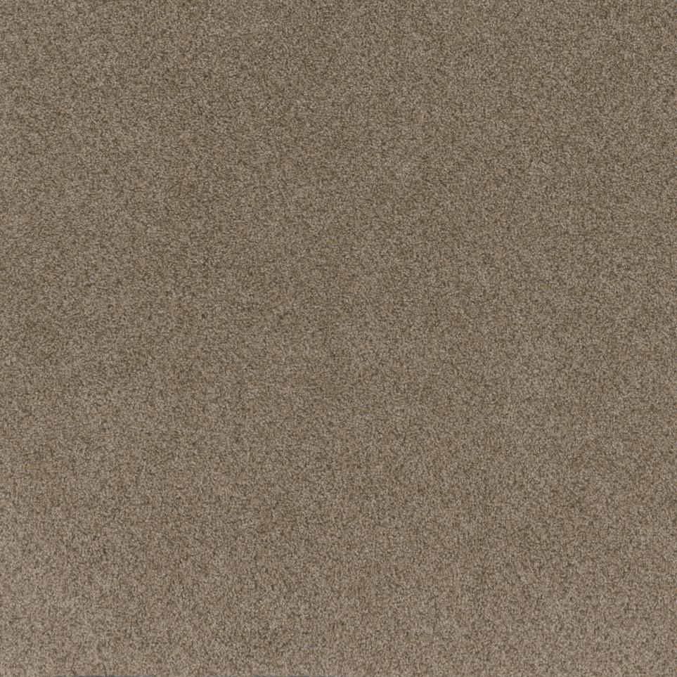 Texture Affirmation Brown Carpet
