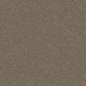 Casual Texture Scotch Beige/Tan Carpet