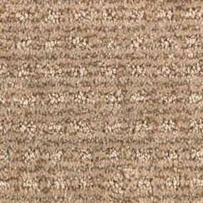 Pattern Cedar Shingles Beige/Tan Carpet